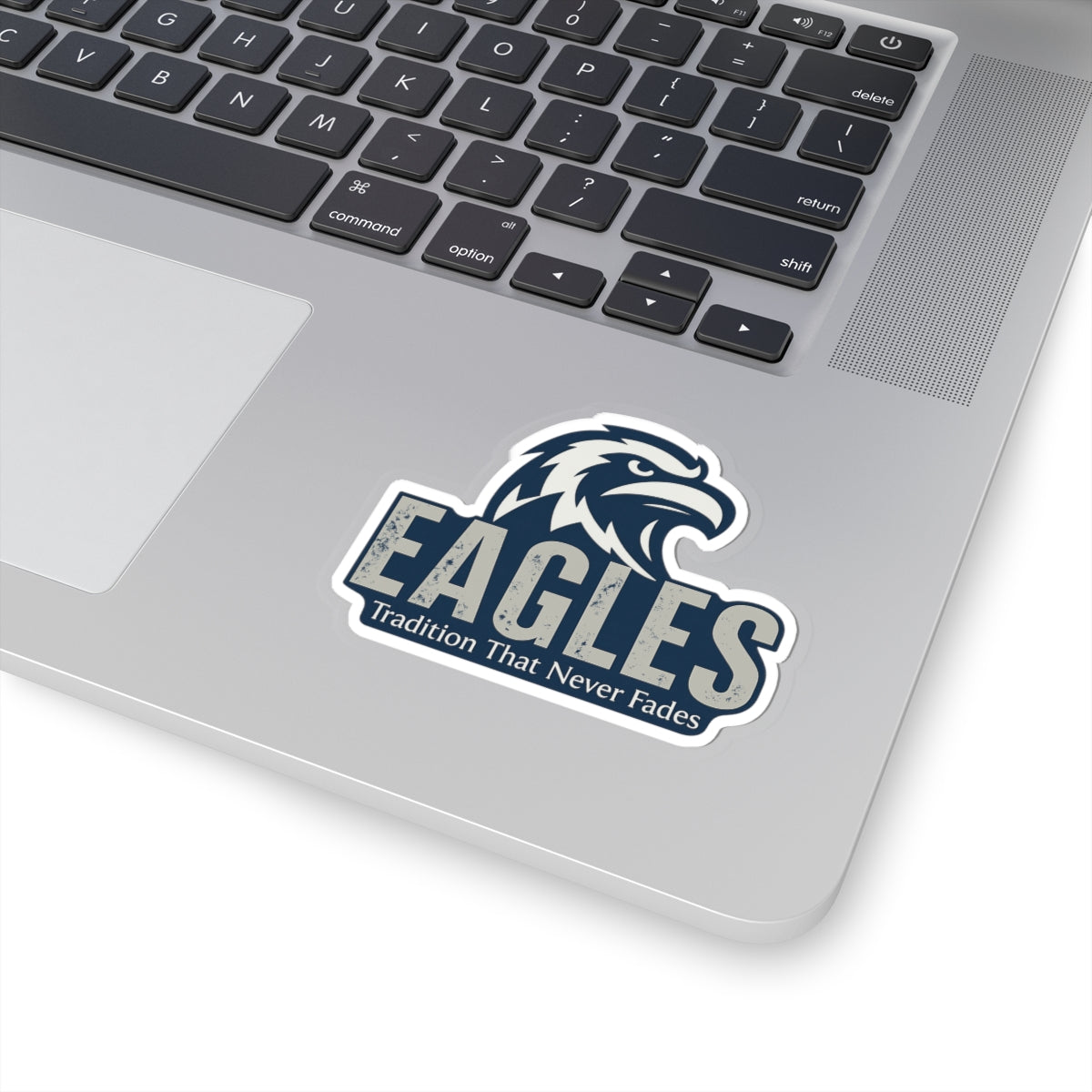 OHIO COUNTY EAGLES STICKER -MULTIPLE SIZES
